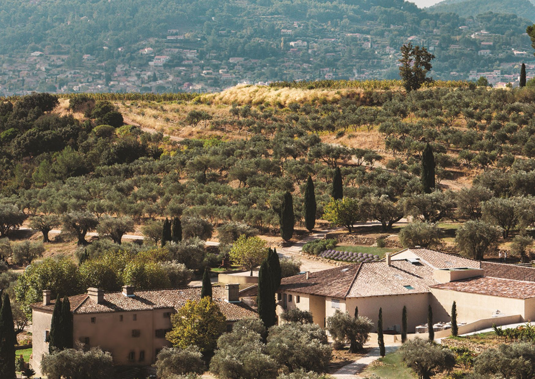 wine tour bandol domaine souviou saint tropez