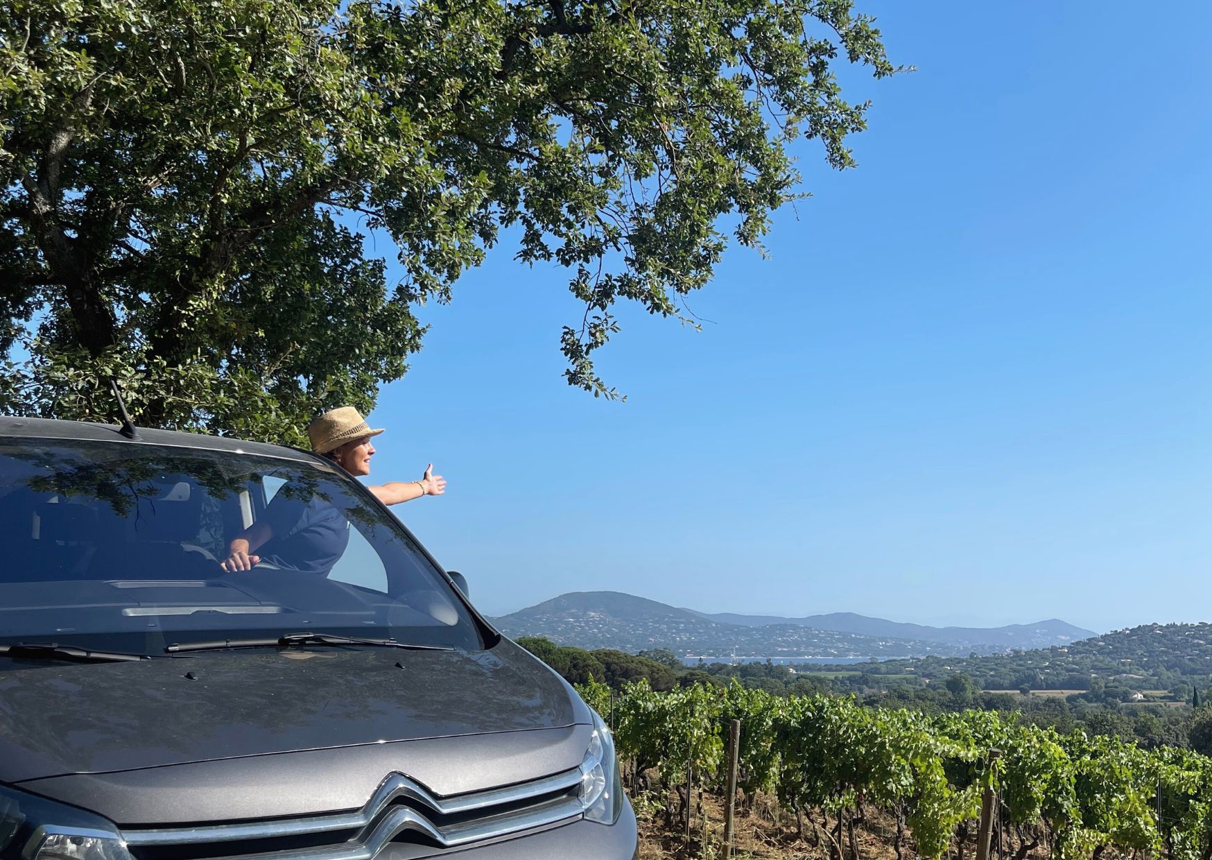 landscape wine tasting love rosé wine tour in van with wine guide from saint tropez small groups