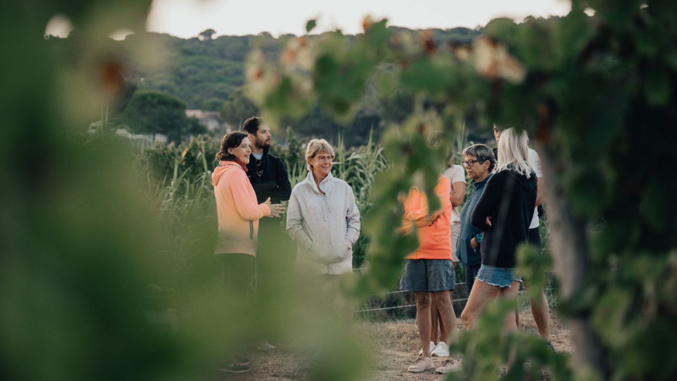 Balades dans les vignes, Golfe de Saint-Tropez