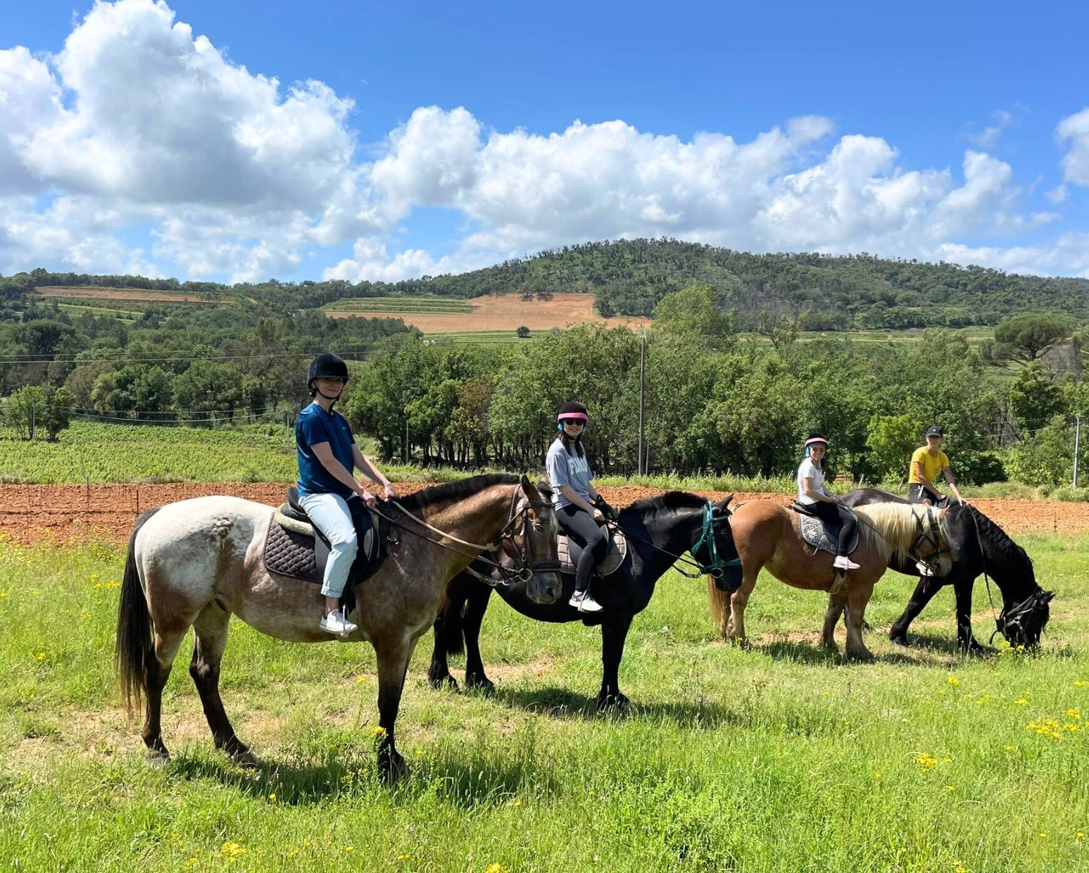 balade à cheval à grimaud et dégustation de vins