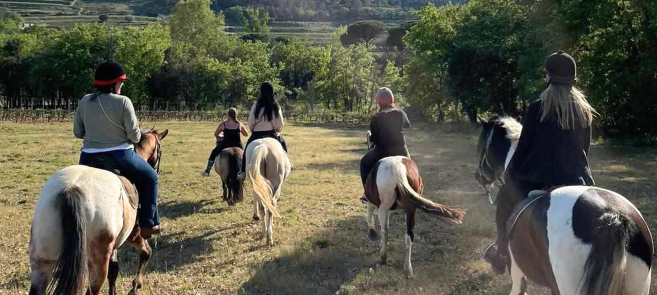 3 activités autour du vin pour un EVJF / EVG dans le golfe de Saint-Tropez : balade à cheval dans les vignes