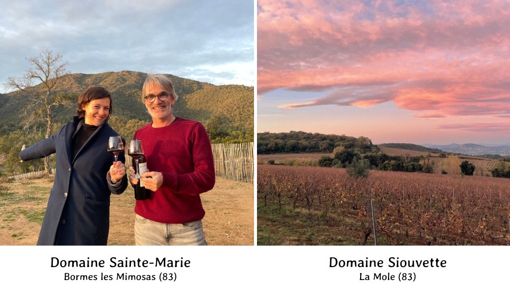 Domaine viticole, Provence, vignes, vins, histoire, viniculture, vendanges, circuits oenologiques
