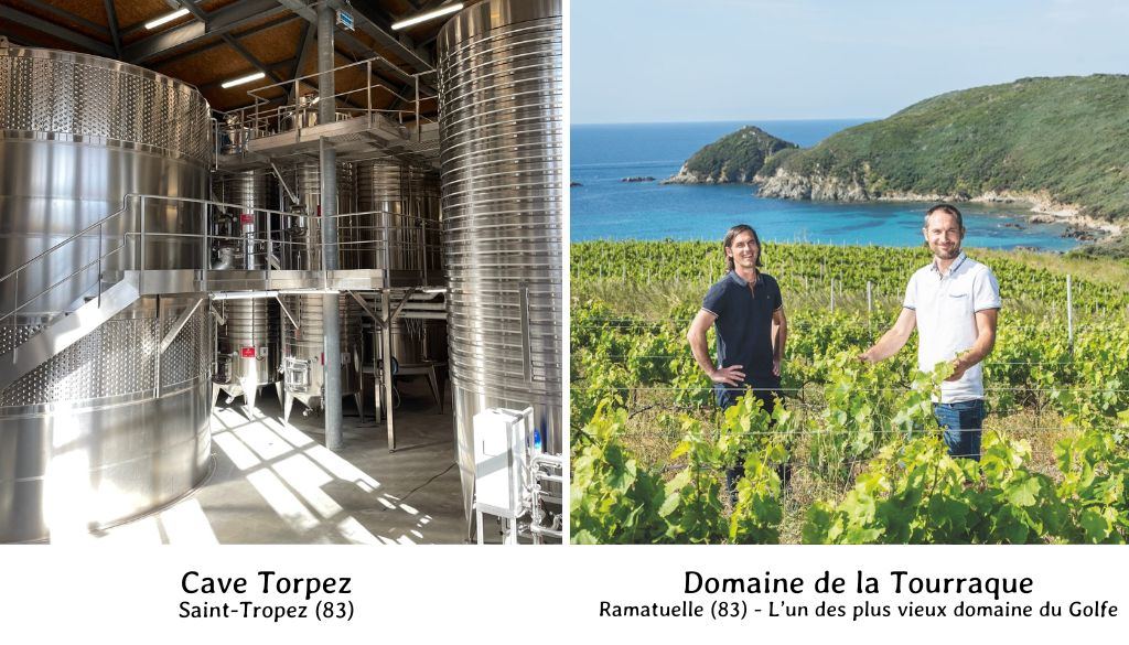 Vendanges, vins, vignes, vigneron, histoire, terroir, Golfe de Saint-Tropez, dégustations, romains, grecs, phocéens, Antiquité, culture, domaines viticulture Histoire viticulture Golfe de Saint-Tropez