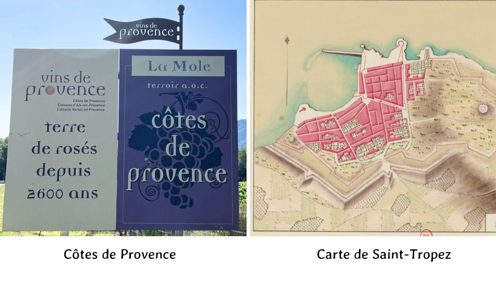 Vendanges, vins, vignes, vigneron, histoire, terroir, Golfe de Saint-Tropez, dégustations, romains, grecs, phocéens, Antiquité, culture, cote de provences Histoire viticulture Golfe de Saint-Tropez