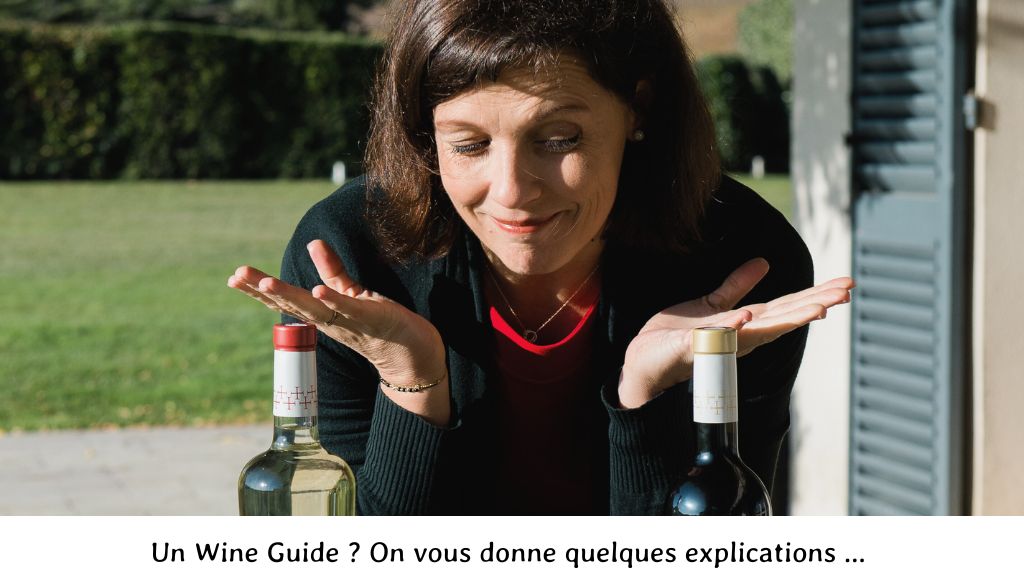 Wine guide, vins, cours, circuit oenotouristique, dégustations, vignes, golfe de Saint-Tropez, 