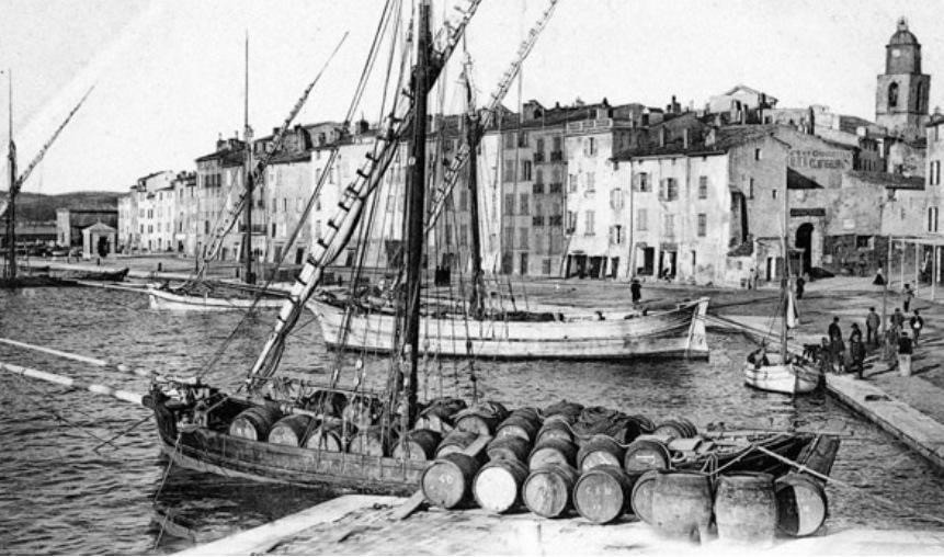 Vendanges, vins, vignes, vigneron, histoire, terroir, Golfe de Saint-Tropez, dégustations, romains, grecs, phocéens, Antiquité, culture, bateau, transport, cargaison 