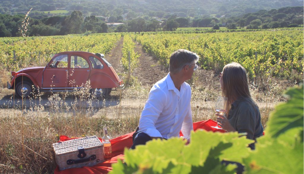 tables, vignes, dégustations, vins, rosé, Golfe de Saint-Tropez, vacances, plages, été, balade, circuit œnologiques,