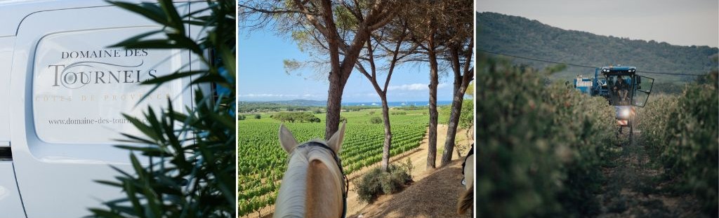 domaine des tournels a ramatuelle dans le golfe de saint tropez balade a cheval visite et dégustation