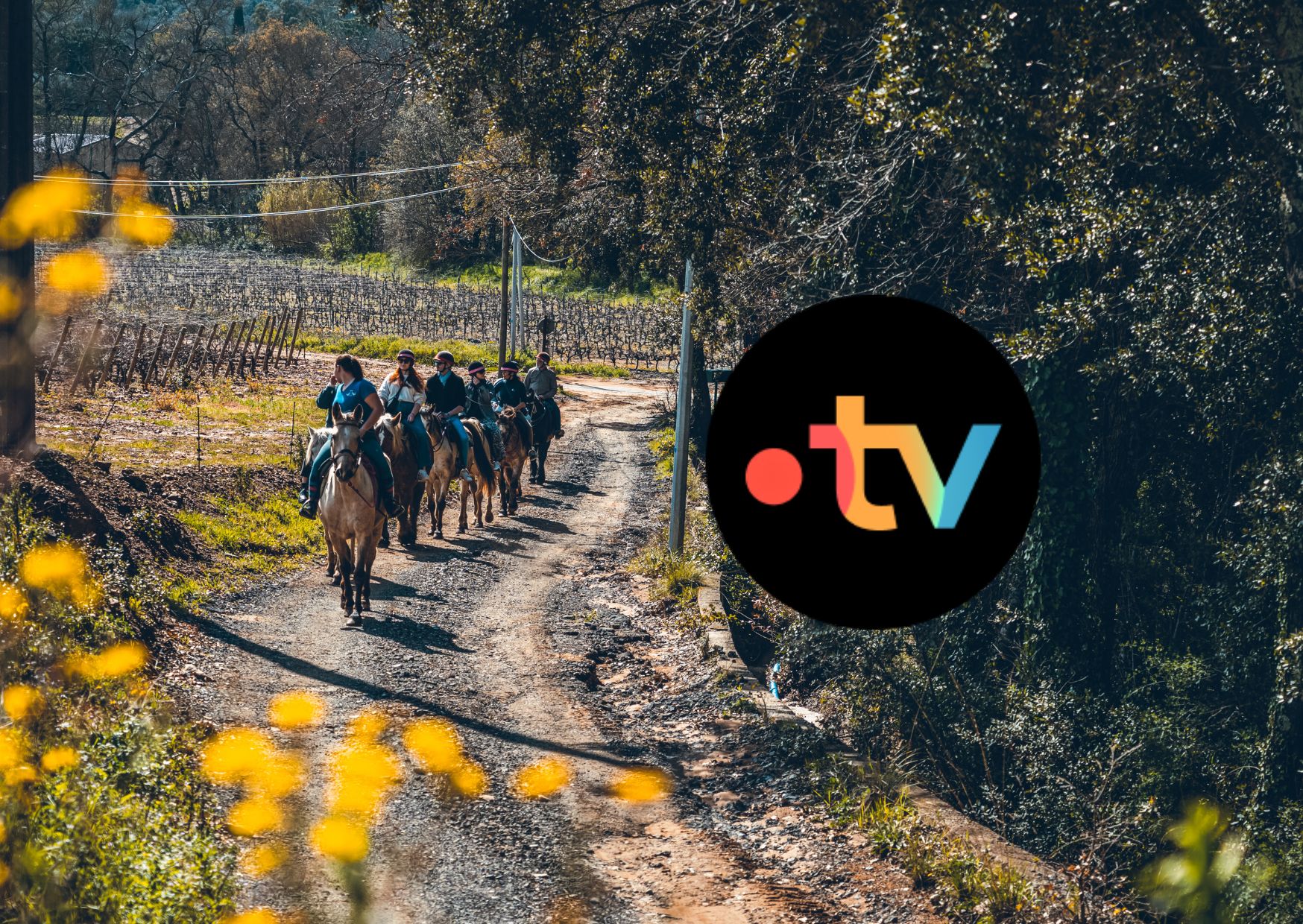 France TV reportage saint tropez cheval grimaud balade à cheval saint tropez